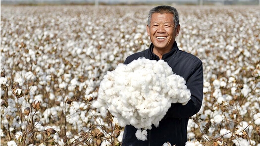 Hướng Dẫn Giặt Và Bảo Quản Hàng Vải Từ Chất Liệu Cotton